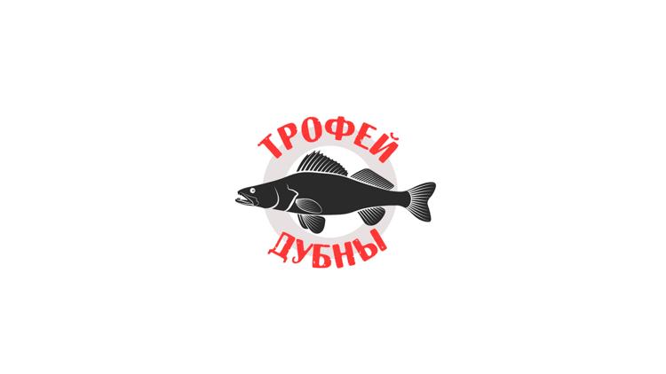 Постер Трофей Дубны