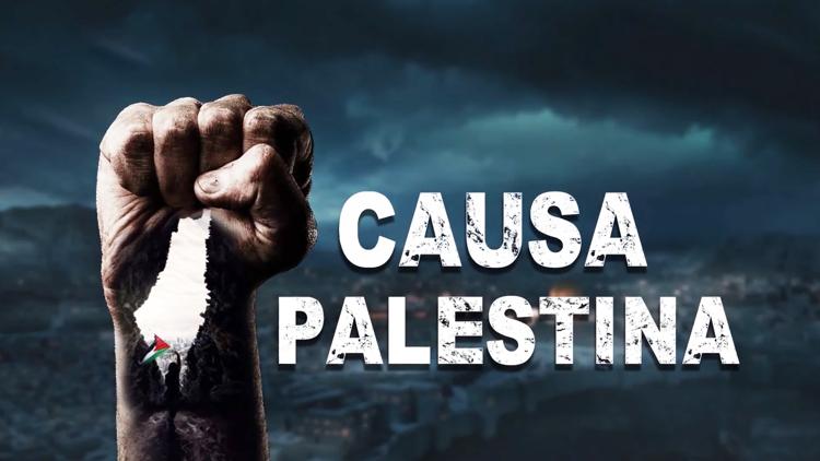 Постер Causa Palestina