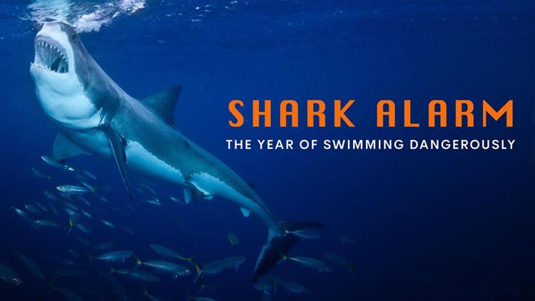 Постер Shark Alarm: The Year of Swimming Dangerously