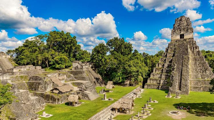 Постер Tikal, la cité Maya disparue