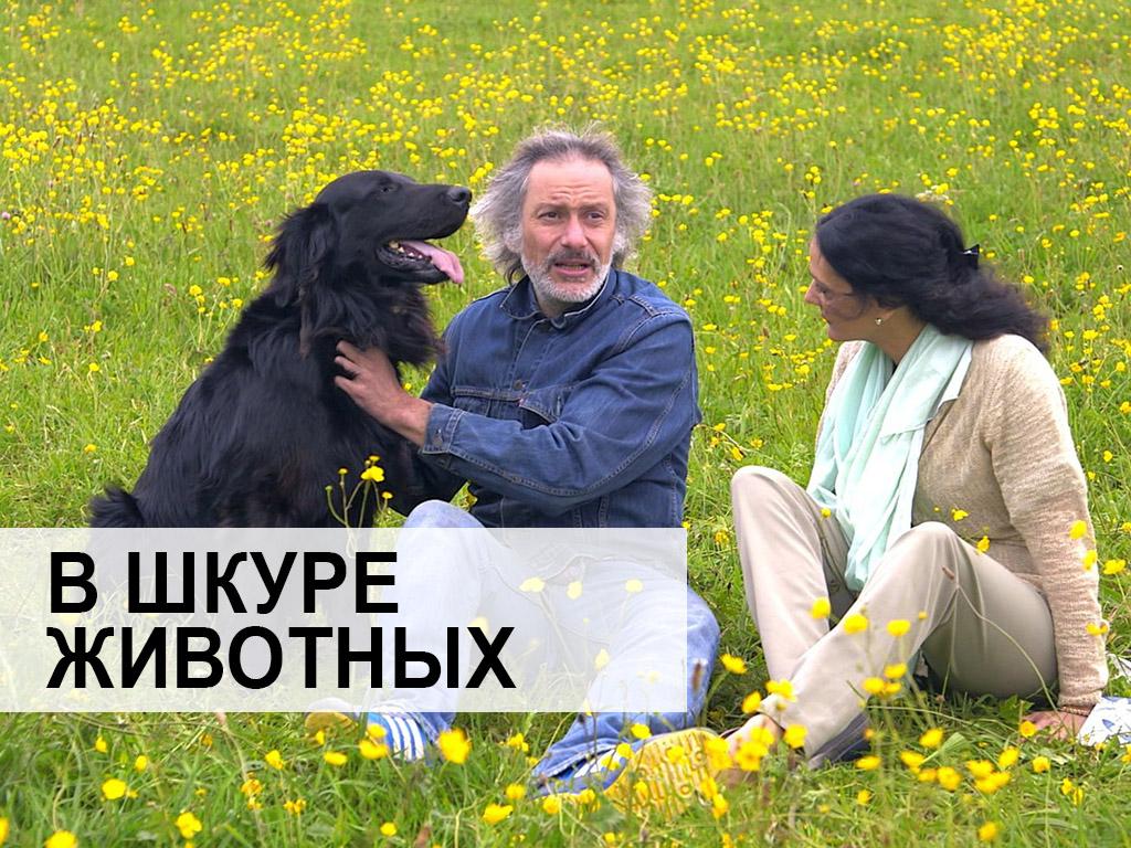 В шкуре животных (v-shkure-zhivotnyh) Документальный фильм