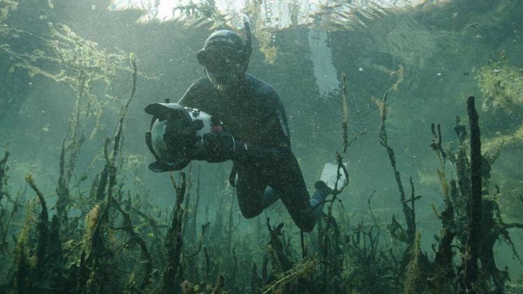 Постер France terre sauvage - l'eau vive