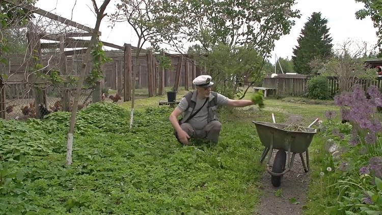 Постер Агротуризм