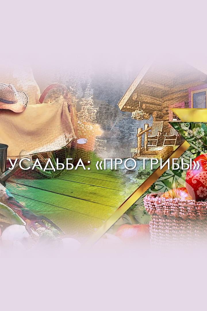Про грибы (pro-griby) Досуг, хобби