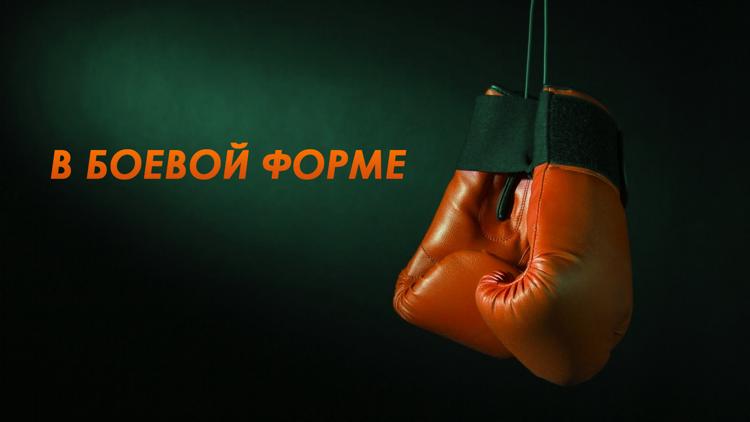 Постер В боевой форме