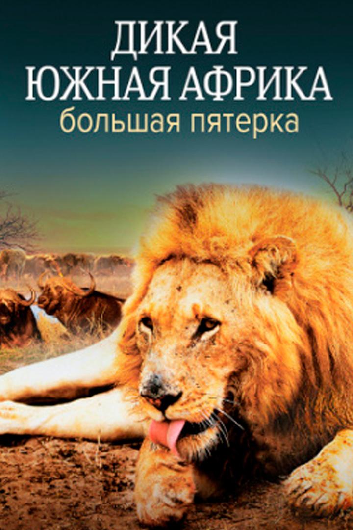 Дикая Южная Африка. Большая пятерка (dikaja-juzhnaja-afrika-bolshaja-pjaterka) Документальный фильм