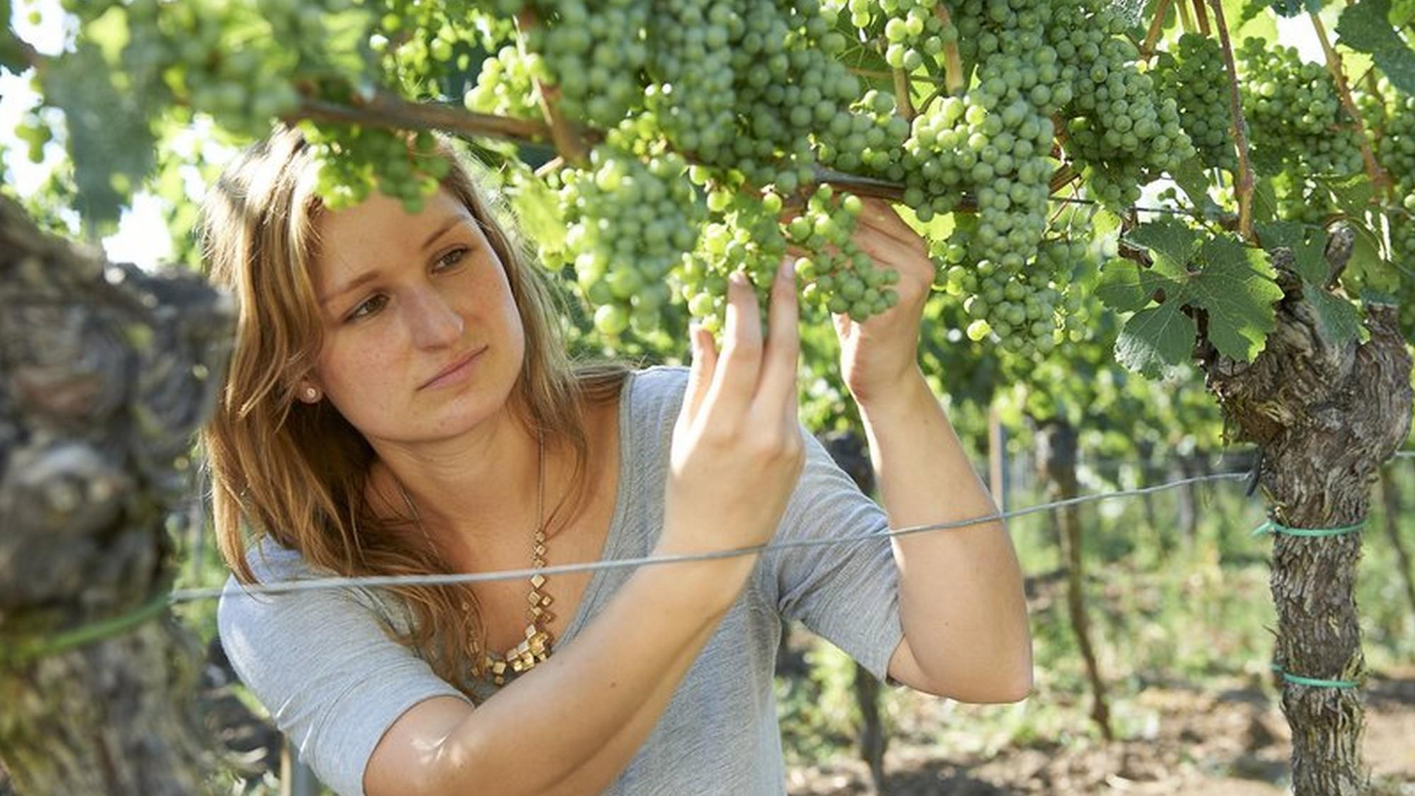 Lecker aufs Land – Eine kulinarische Herbstreise (lecker-aufs-land-eine-kulinarische-herbstreise) Досуг, хобби
