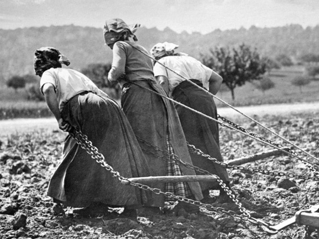 Женщины на войне 1939-1945 (zhenschiny-na-vojne-1939-1945) Документальный фильм