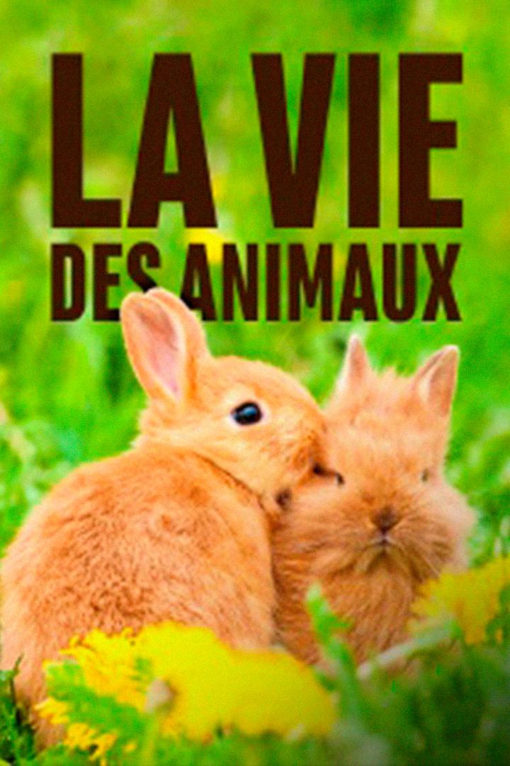 La vie des animaux (la-vie-des-animaux) Документальный сериал