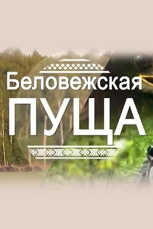 Беловежская пуща (belovezhskaja-puscha) Познавательное