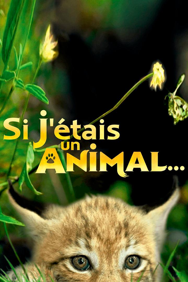 Если бы я был животным (esli-by-ja-byl-zhivotnym) Досуг, хобби