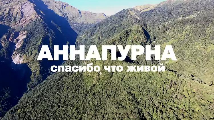 Постер Аннапурна. Спасибо, что живой