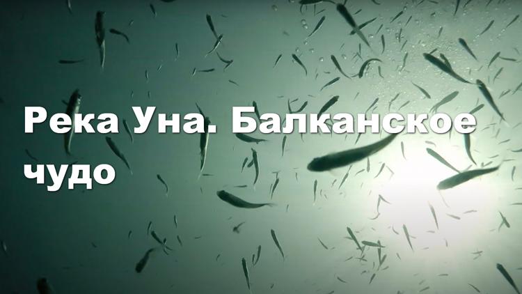 Постер Река Уна. Балканское чудо