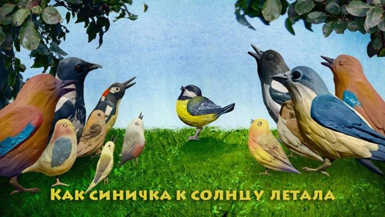 Постер Как синичка к солнцу летала