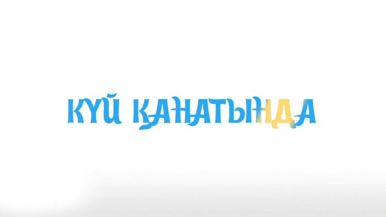 Постер Күй қанатында