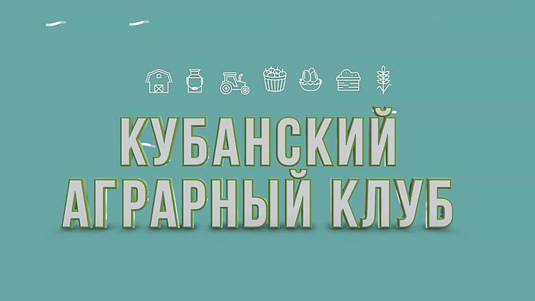 Постер Кубанский аграрный клуб