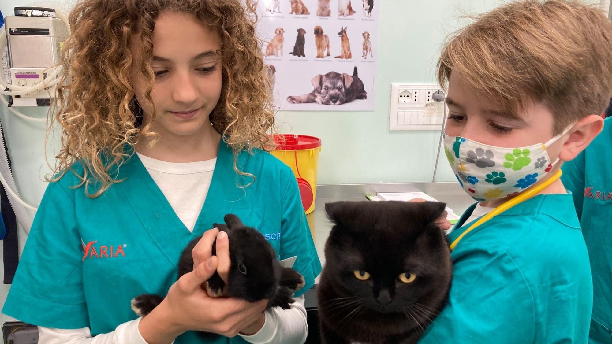Kids Vet Academy (kids-vet-academy) Реалити-шоу