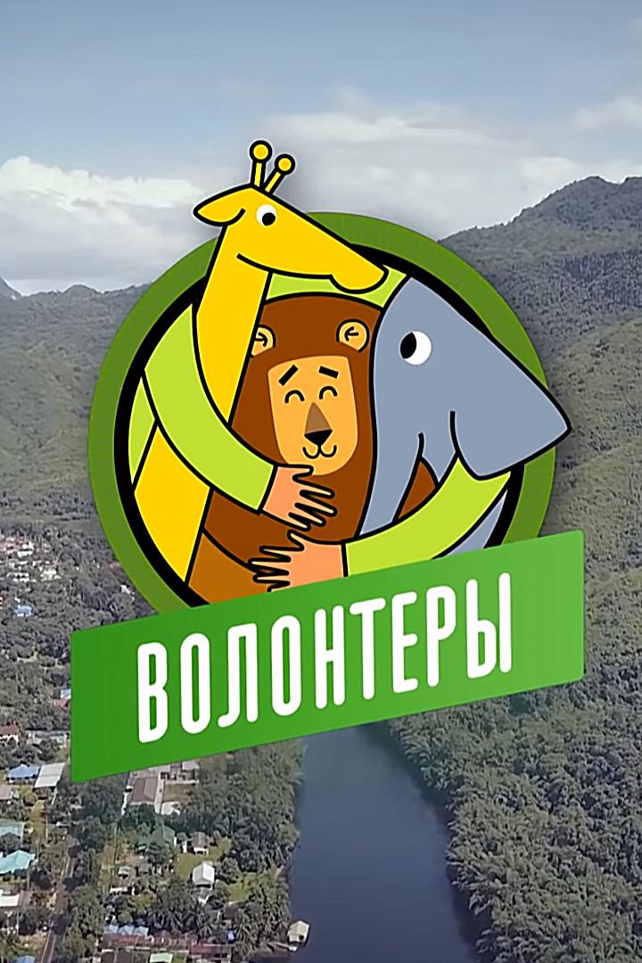 Волонтёры (volontery) Документальный сериал