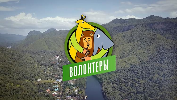 Постер Волонтёры