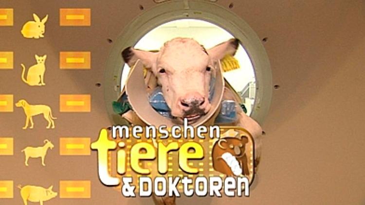 Постер Menschen, Tiere & Doktoren