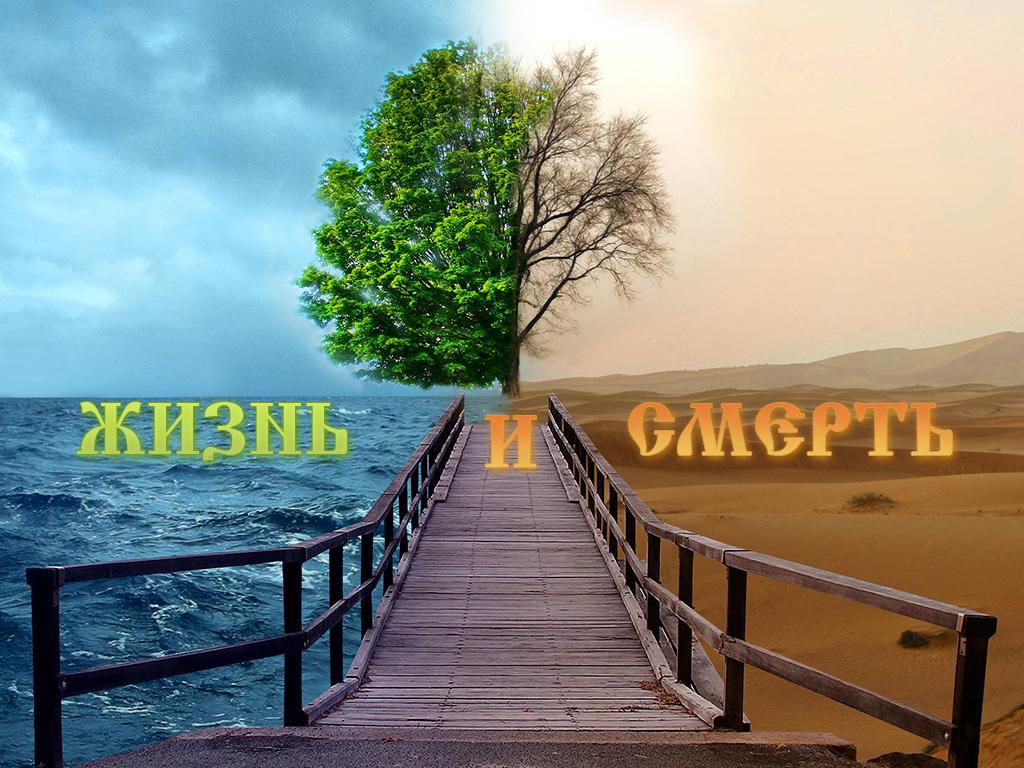 Жизнь и смерть (zhizn-i-smert) Документальный фильм