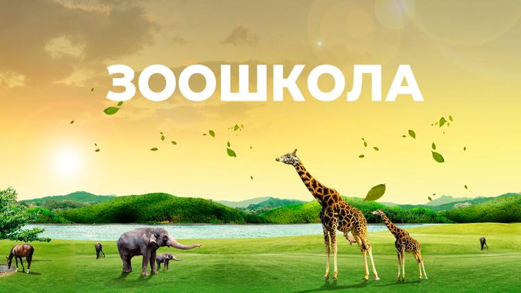 Постер Зоошкола