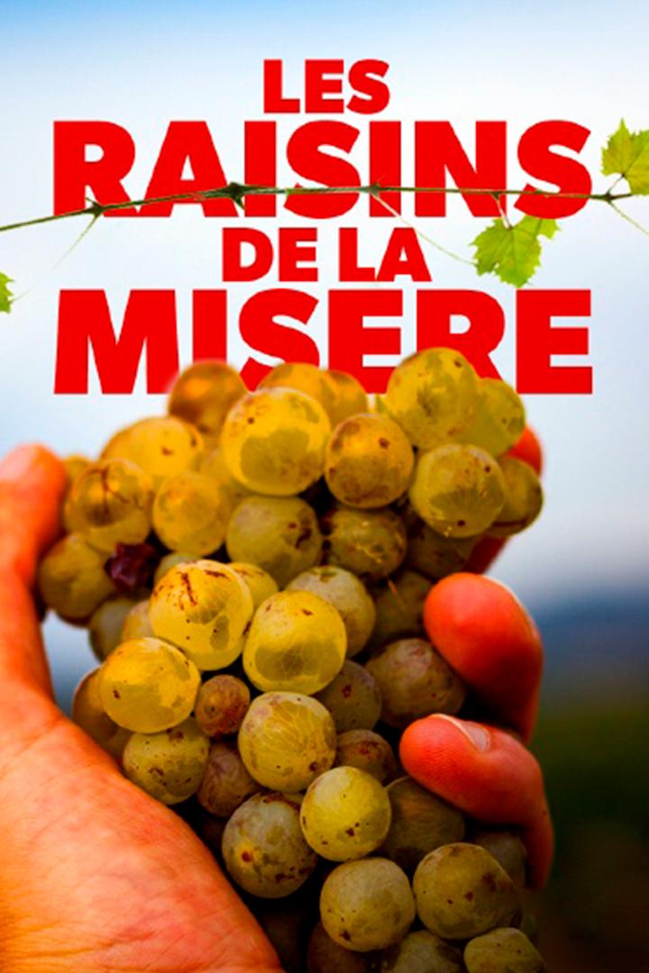 Les raisins de la misère (les-raisins-de-la-misre) Документальный фильм