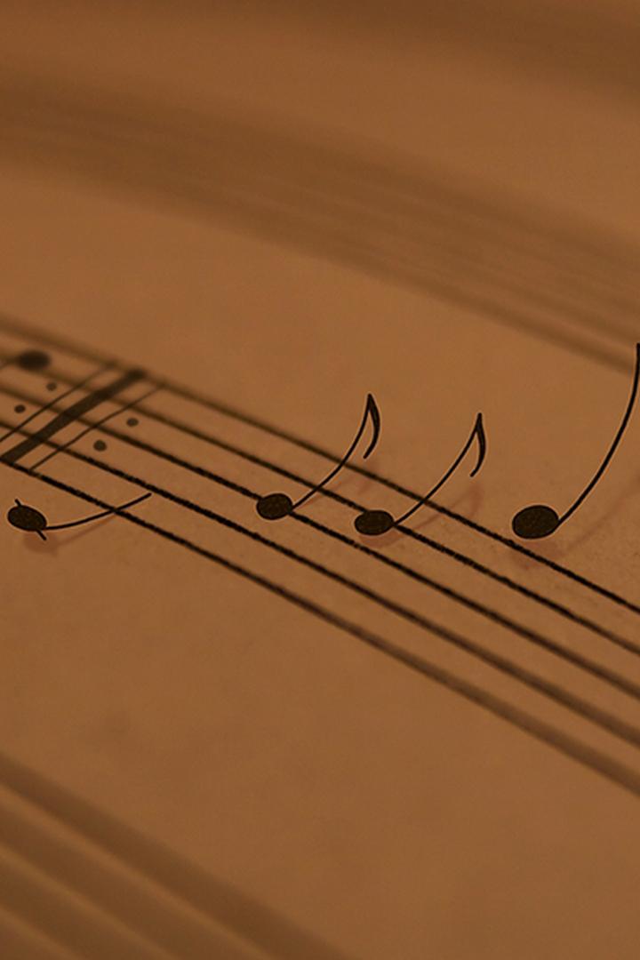Melodia Ta (melodia-ta) Досуг, хобби