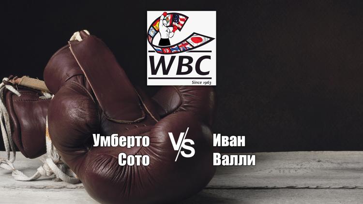 Постер Поединок за титул чемпиона мира по версии WBC в первом легком весе Умберто Сото - Иван Валли