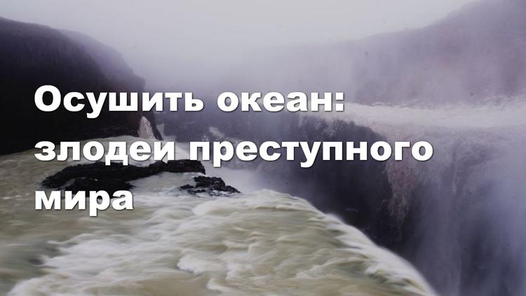 Постер Осушить океан: злодеи преступного мира