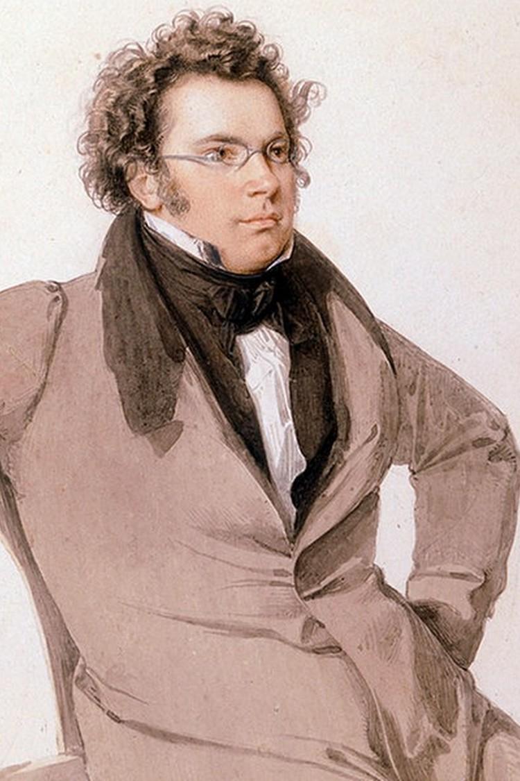 Franz Schubert: Rosamunde-Ouvertüre; Zwischenaktmusik Nr.5 (franz-schubert-rosamunde-ouvertre-zwischenaktmusik-nr5) Музыка