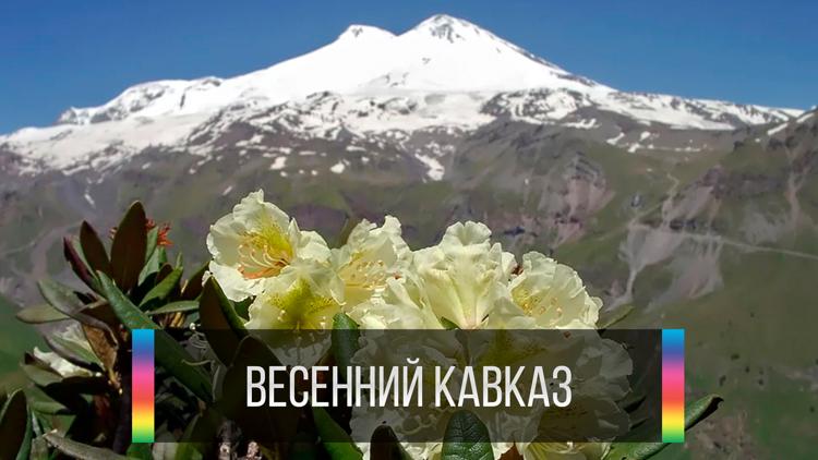 Постер Весенний Кавказ