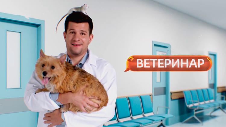 Постер Ветеринар