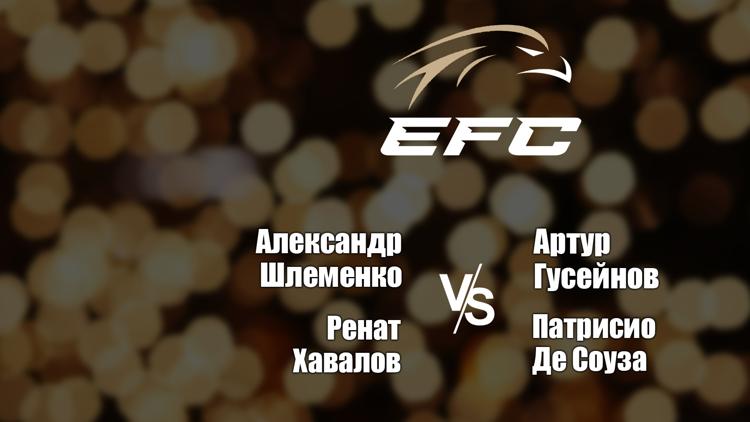 Постер Смешанные единоборства. Eagle FC 42. Александр Шлеменко против Артура Гусейнова. Ренат Хавалов против Патрисио Де Соузы