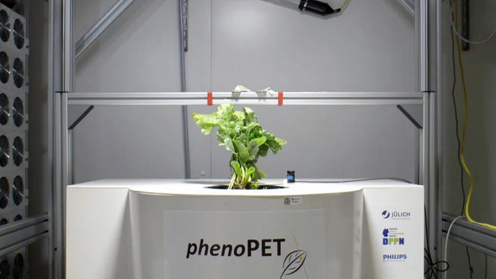 Bioéconomie: la révolution verte (bioconomie-la-rvolution-verte) Познавательное