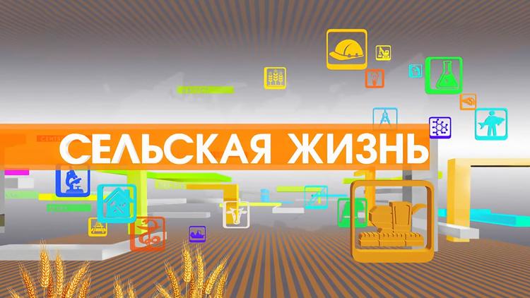 Постер Ко Дню работника сельского хозяйства и перерабатывающей промышленности «Сельская жизнь»