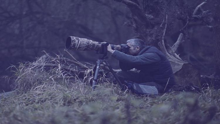 Постер Erwan Balança, la nature du photographe