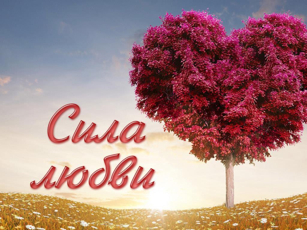 Сила любви (sila-ljubvi) Досуг, хобби