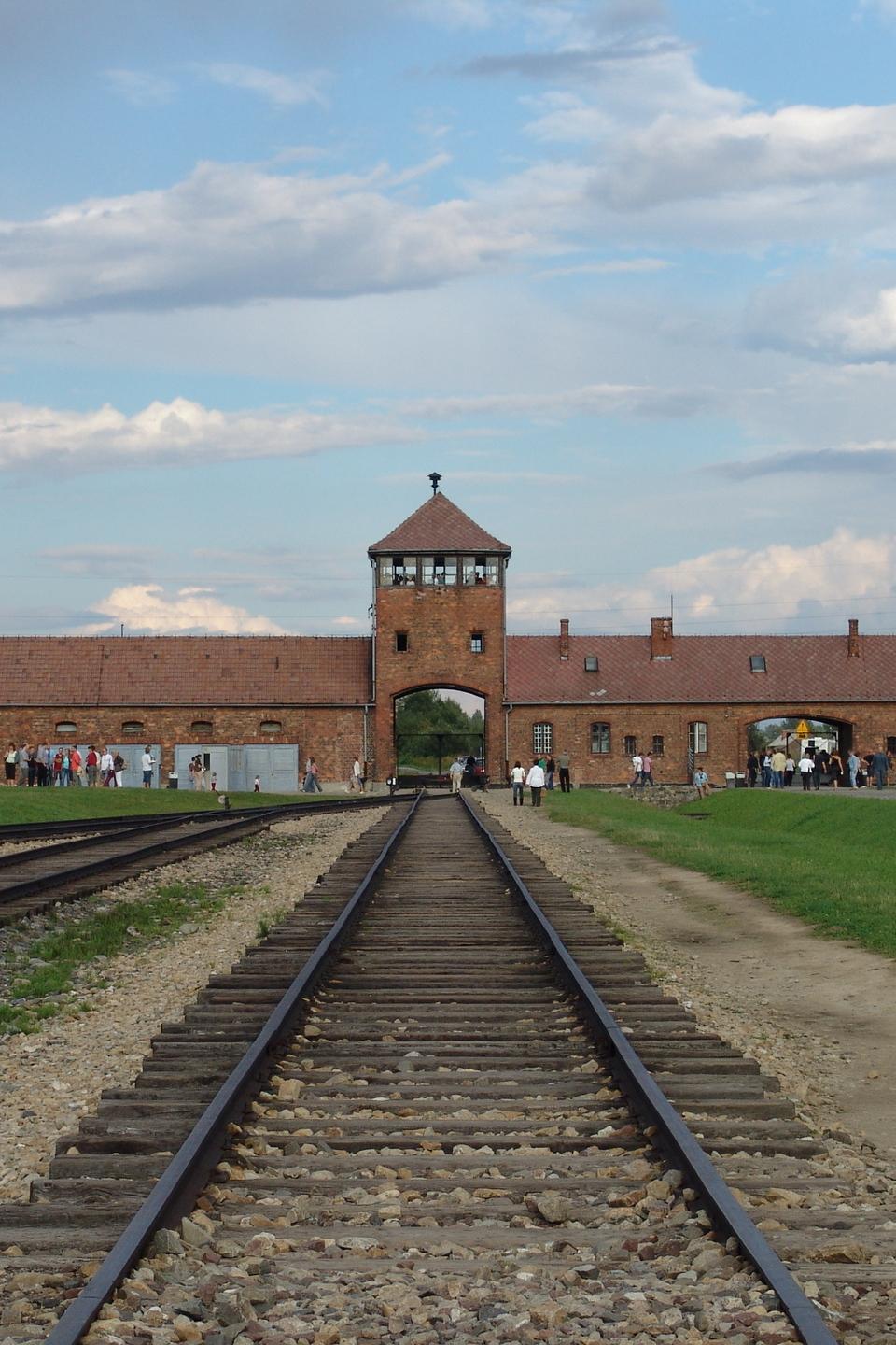 Nie wieder! Junge Deutsche in Auschwitz (nie-wieder-junge-deutsche-in-auschwitz) Познавательное