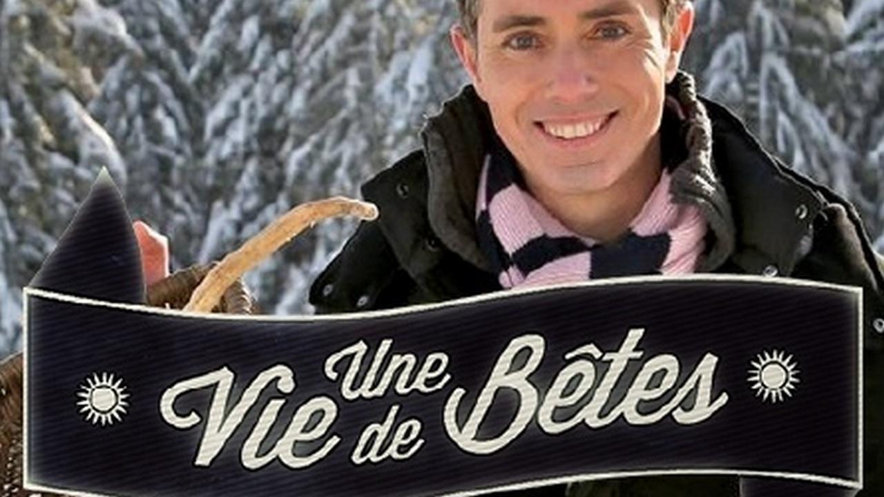 Une vie de bêtes (une-vie-de-btes) Документальный сериал