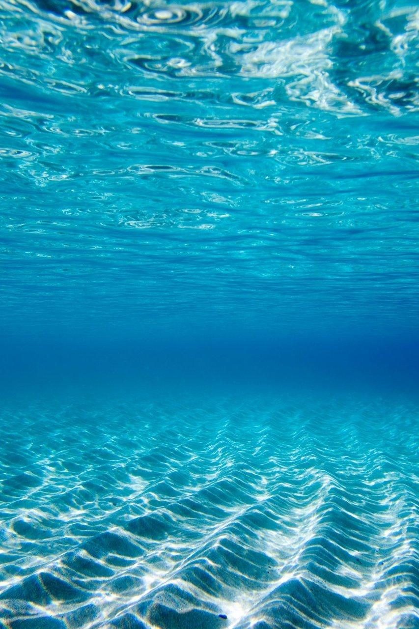 L'aquarium et la natation (laquarium-et-la-natation) Документальный фильм
