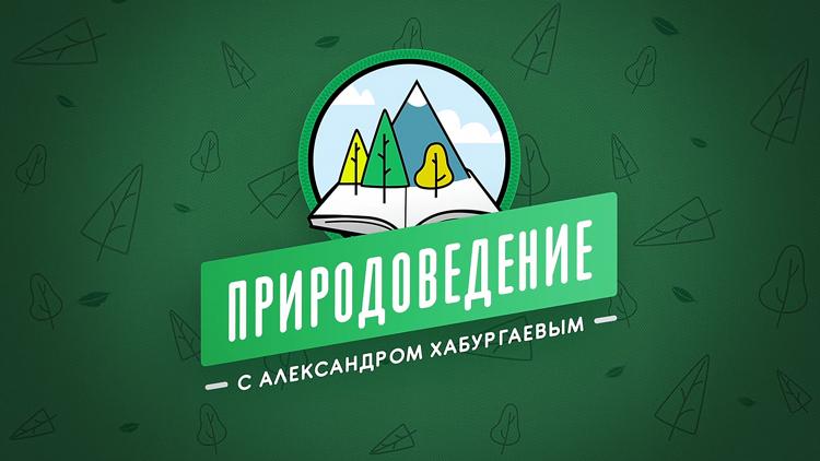 Постер Природоведение