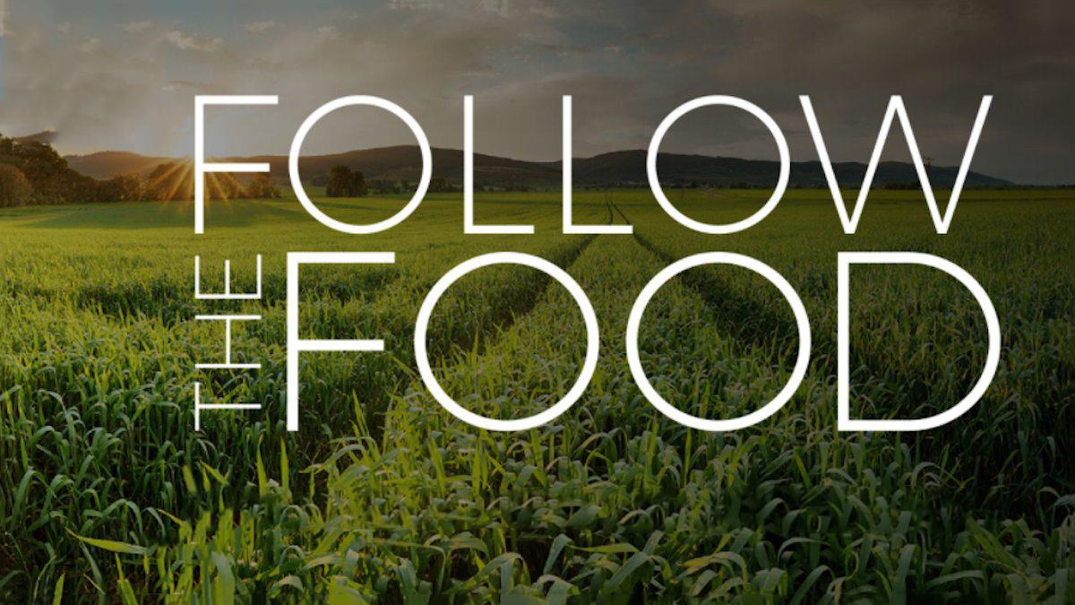 Follow The Food Special (follow-the-food-special) Познавательное