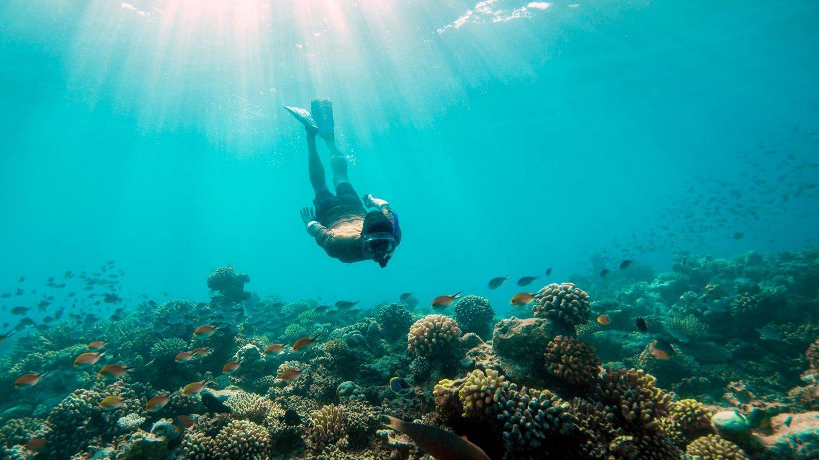 Adventures of Maldives (adventures-of-maldives) Досуг, хобби