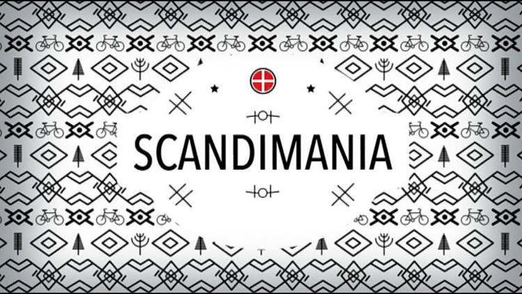 Постер Scandimania