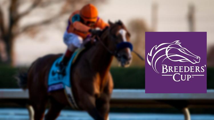 Постер Конный спорт. Breeders Cup