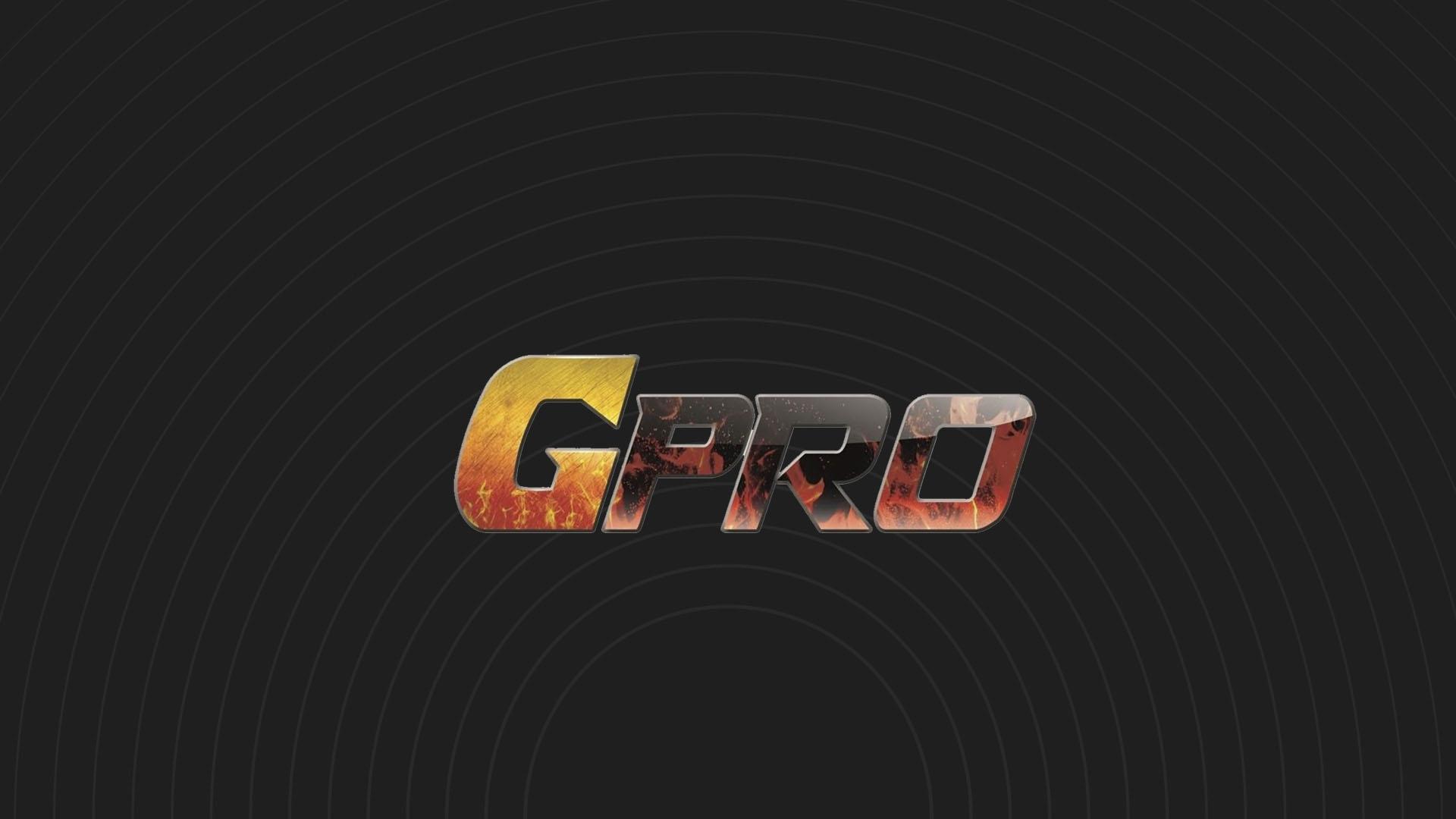 Кикбоксинг. G-Pro Russian Open (kikboksing-g-pro-russian-open) Спорт