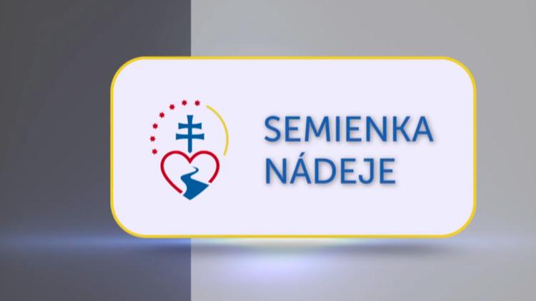 Постер Semienka nádeje