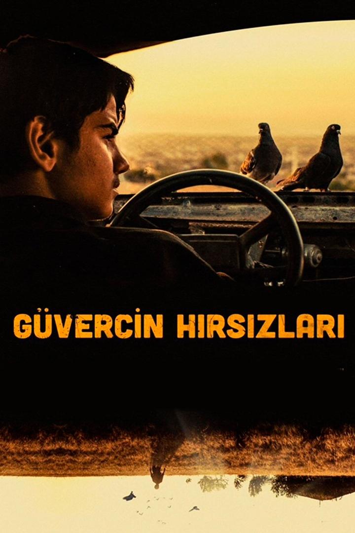Güvercin Hırsızları (gvercin-hrszlar) Фильм 2018