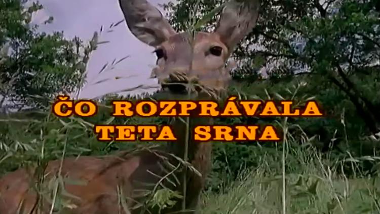 Постер Čo rozprávala teta Srna